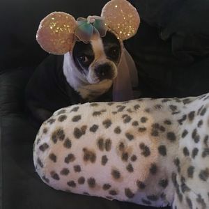 Meet your Posher, Lookie